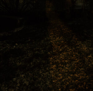 Street Light Path